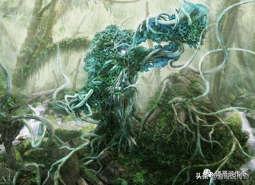 最新更新章節(jié)揭秘，神級龍衛(wèi)的傳奇之旅