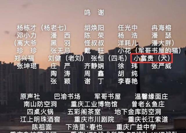 最準一碼一肖揭秘，老錢莊的精準預測背后的秘密