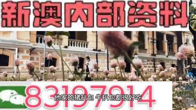 新澳新澳門(mén)正版資料，探索背后的真相與犯罪性質(zhì)