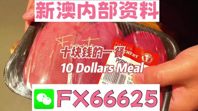 新澳精準(zhǔn)資料免費(fèi)提供|明晰釋義解釋落實(shí),新澳精準(zhǔn)資料免費(fèi)提供，明晰釋義、解釋落實(shí)與違法犯罪問(wèn)題