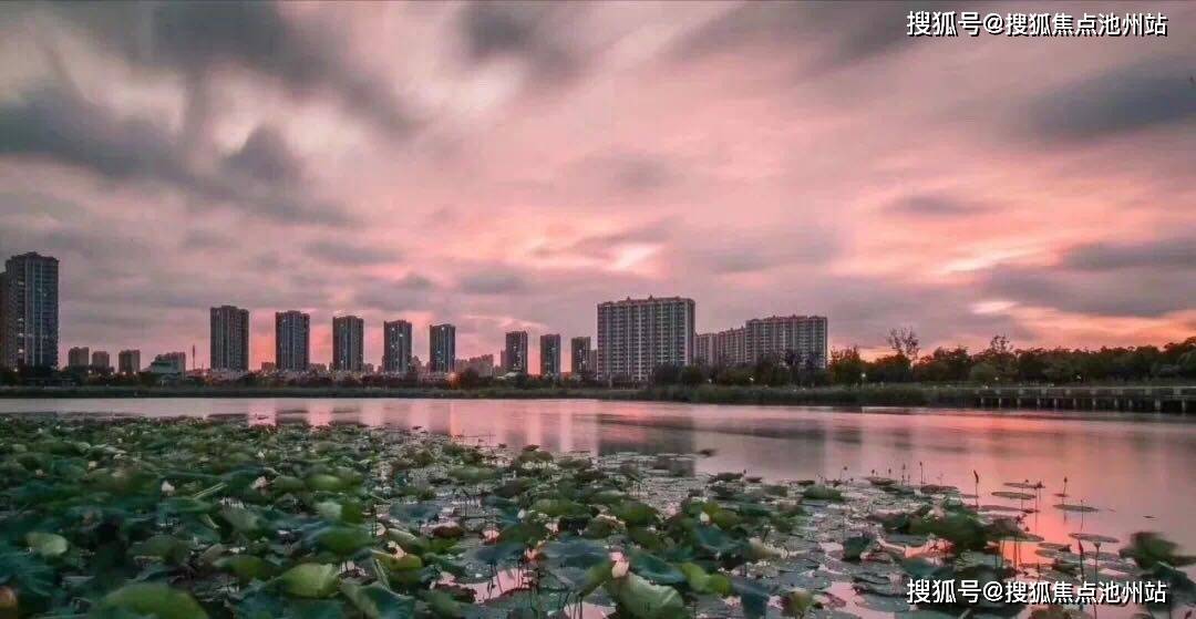 7777788888精準管家婆|網(wǎng)絡(luò)釋義解釋落實,精準管家婆，網(wǎng)絡(luò)釋義解釋落實的重要性