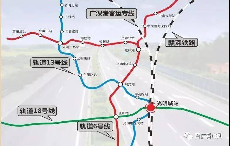王中王彩票預(yù)測，智計解答、解釋與落實——健身版深度探討