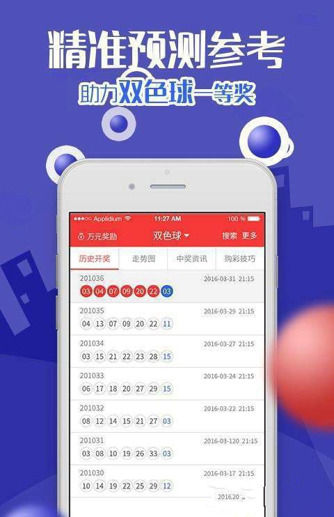 澳門王中王資料解析與知識(shí)解答，深入探索與落實(shí)