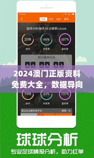 澳門正版資料免費精準(zhǔn)，耐久解答解釋落實方案