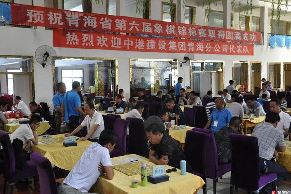 王中王一肖一特一中一澳，探索多元領域的獨特魅力