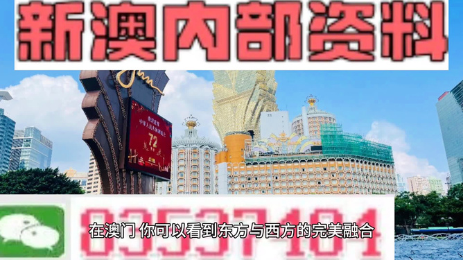 新澳精準(zhǔn)資料免費(fèi)提供大全下載，探索與啟示