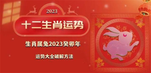 揭秘最準(zhǔn)一肖一碼精準(zhǔn)資料，探尋幸運(yùn)之碼的奧秘
