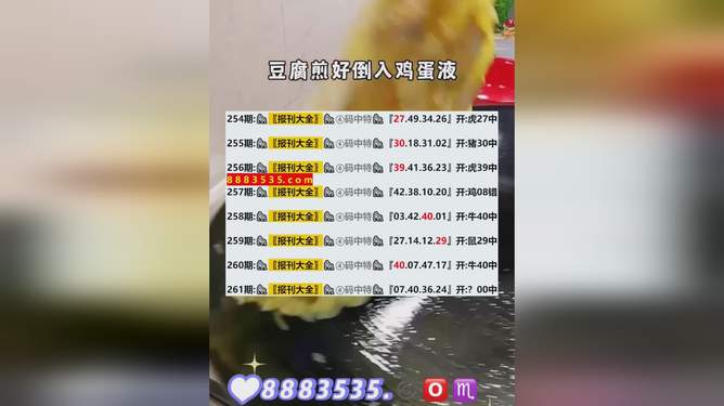新澳歷史開獎最新結(jié)果查詢今天，探索與解讀