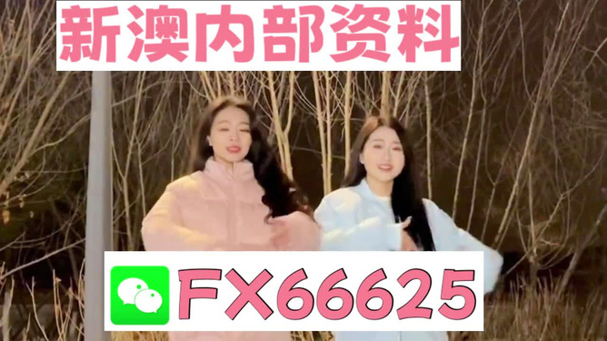管家婆一碼一肖最準(zhǔn)資料，揭秘精準(zhǔn)預(yù)測的秘密