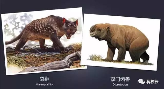 新澳2024今晚開獎資料四不像，探索彩票背后的神秘世界
