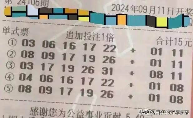 新澳內(nèi)部資料精準(zhǔn)一碼波色表，揭秘彩票背后的秘密