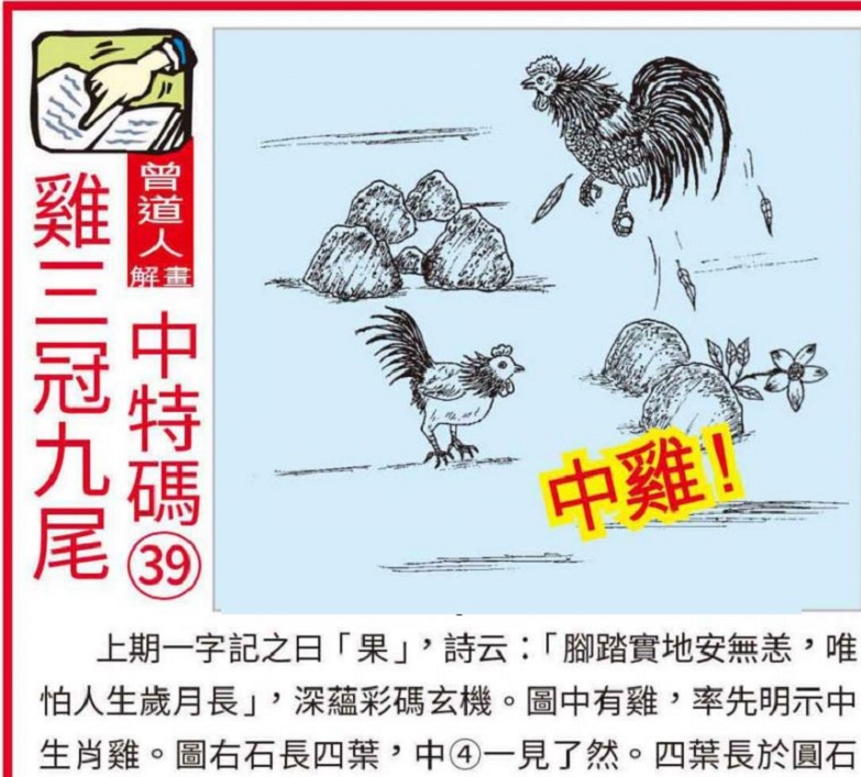 澳門王中王100的準(zhǔn)資料，揭秘彩票背后的秘密